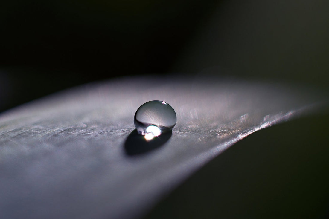 Caviarlieri | Eye Brightening Cream - Helvetskin