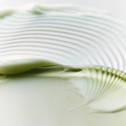 House of Hur | Phyto Brew Matcha Dual Cream and Gel 50 ml